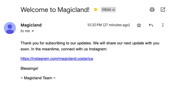 Magicland thank you email